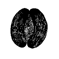 CLICK, 1Kb