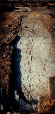 CLICK FOR LARGER, 21Kb